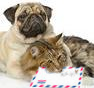 dog and cat together holding a letter